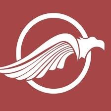 Voe Falcon
